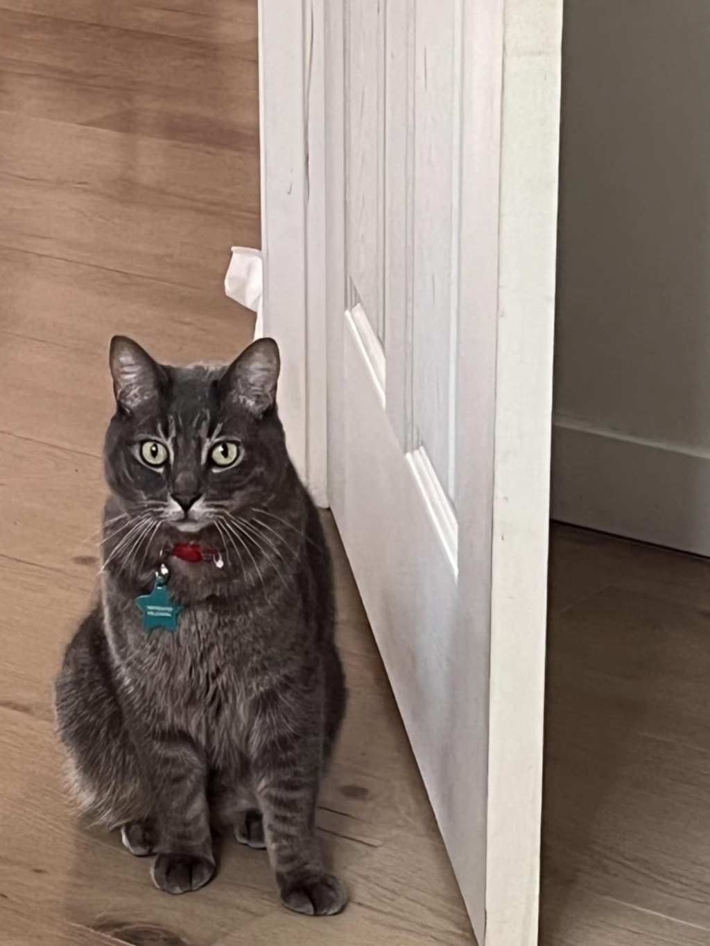 About Me and&nbsp;Cedric