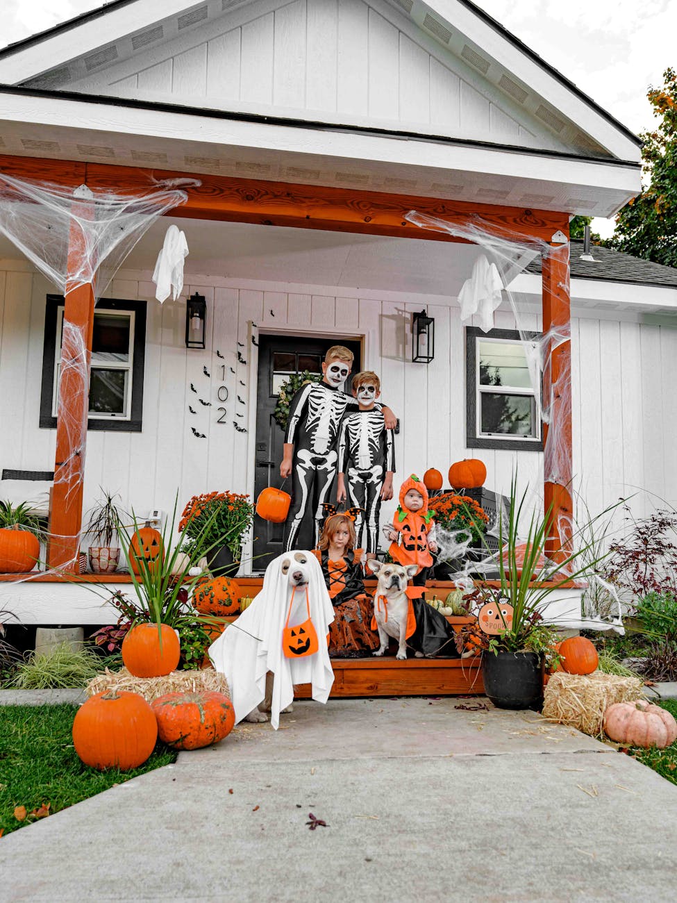 A Halloween themed decorated front step with 2 boys dressed as skeletons, a baby dressed as a jackolantern, a young girl dressed as a which a dog dressed as a vampire and a dog dressed as a ghost. There are webs, small hanging ghosts and pumpkins around the porch.