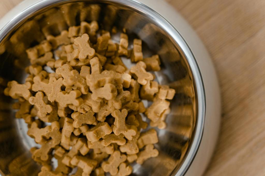 🐾 Why Age-Appropriate Pet Food Is Important for Cats and&nbsp;Dogs