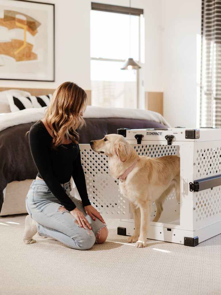 🏡 Why Every Pet Needs a Safe Space at Home: Comfort, Calm, and&nbsp;Confidence